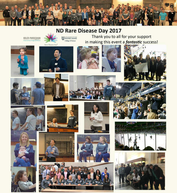 Collage of images from Rare Disease Day 2017