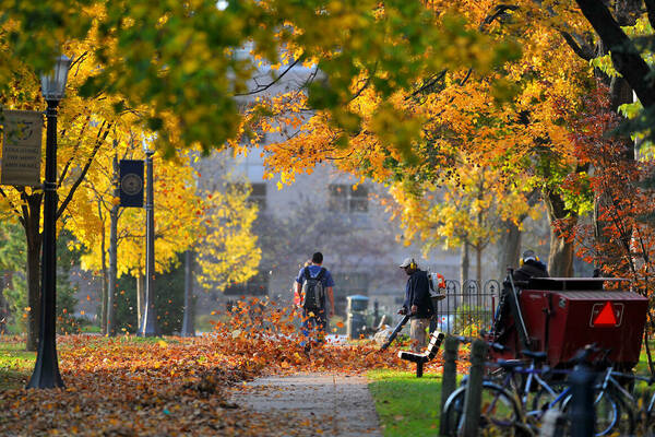 Employees blow colorful fall leaves on campus